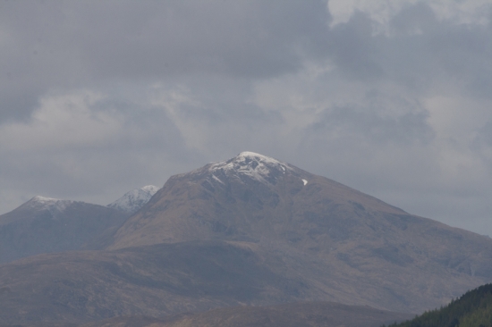 IMG_6636.jpg